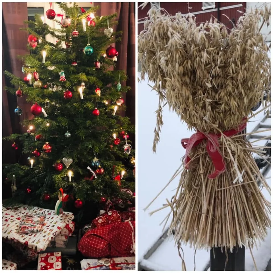 Pyntet juletre og gårdsdyrket halmkrans