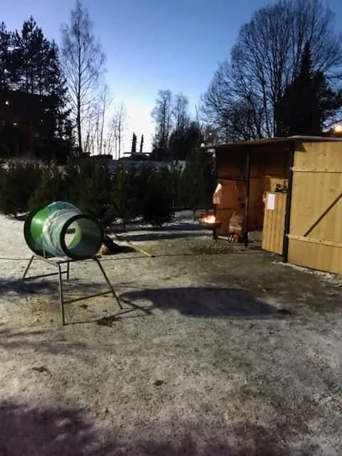 Vedovn ved juletresalgsstanden